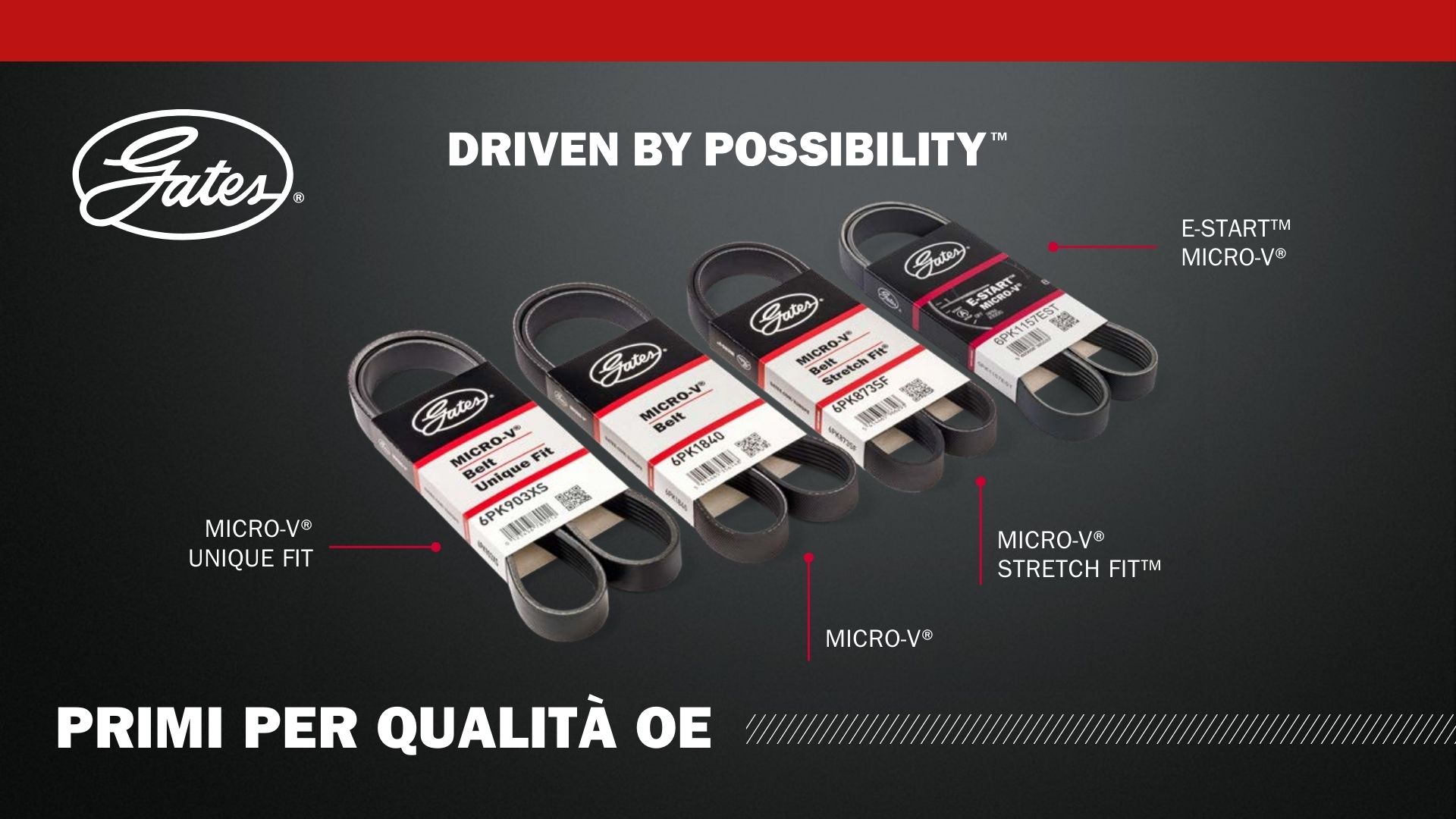 Confezione Da 10 Tenditori Per Funi Metalliche, Tenditori Per - Foto 5